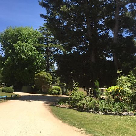 Daylesford Holiday Park Екстер'єр фото